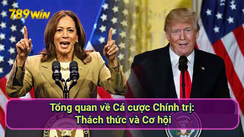 tong-quan-ve-ca-cuoc-chinh-tri:-thach-thuc-va-co-hoi