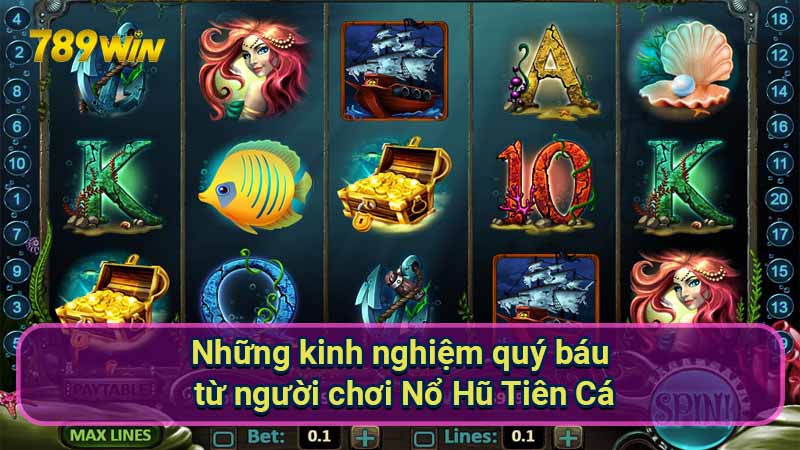 nhung-kinh-nghiem-quy-bau-tu-nguoi-choi-no-hu-tien-ca